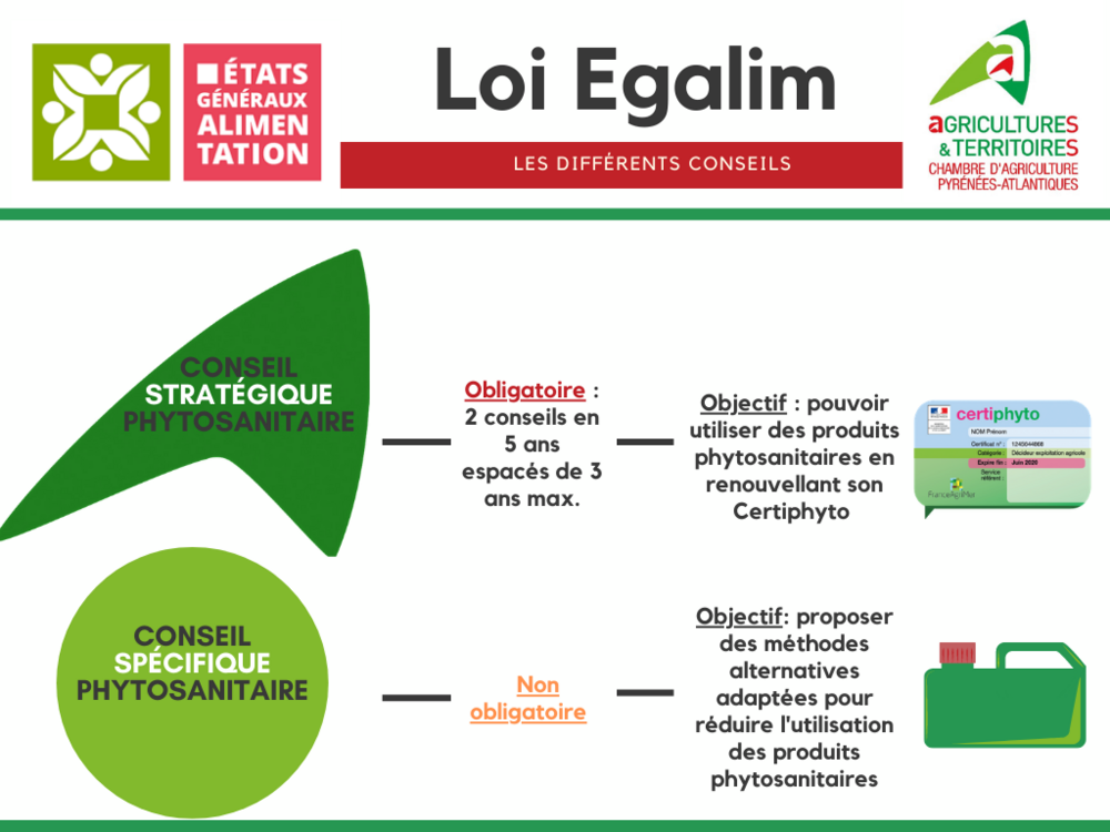 Conseil Stratégique Phytosanitaire  CABVITIPRO
